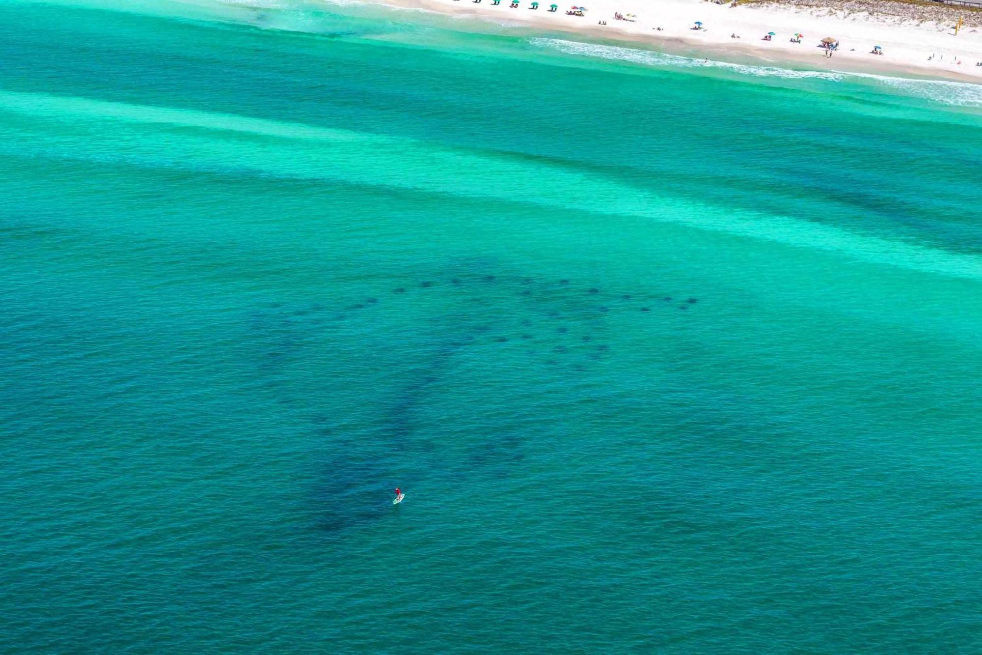 Cabin By The Sea Villa Destin Dış mekan fotoğraf